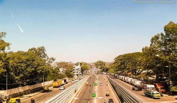 Featured Image of Which Area Of Bangalore Is Bannerghetta Road In